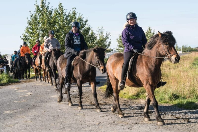 Hveragerdi: The Siggi Horse Riding Tour - The Scenic Ride: From the Farm to the Lava Fields