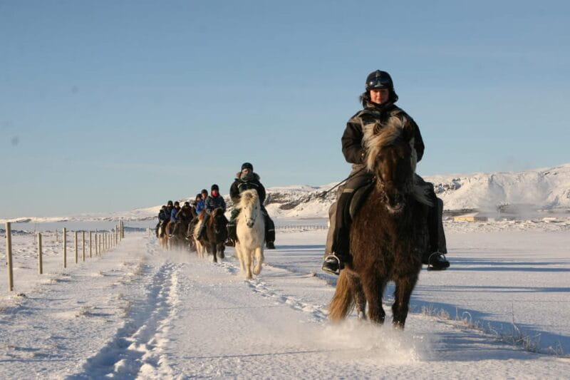 Hveragerdi: The Siggi Horse Riding Tour - Authentic Icelandic Views and Cultural Insights