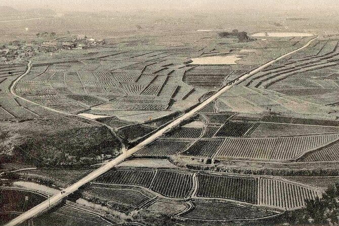 Hyogo E-Bike Tour Through Rural Japan - Navigating the Scenic Routes