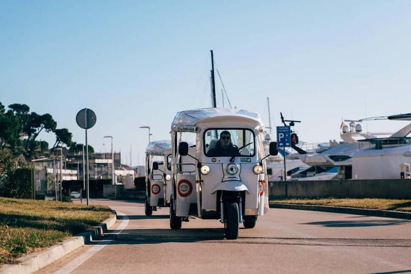 ibenik: 3 hours City&wine tour, tasting and fortresses inc - Who Should Consider This Tour?