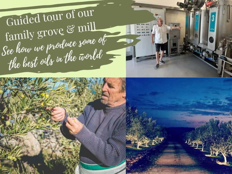 ibenik: Croatia in a Day, Vistas, History, Olive Oil, Wine - Visiting Kamenjak Nature Park