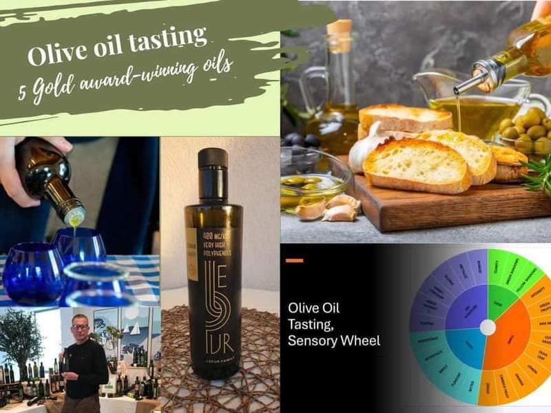 ibenik: Croatia in a Day, Vistas, History, Olive Oil, Wine - Price and Logistics: Is It Worth It?