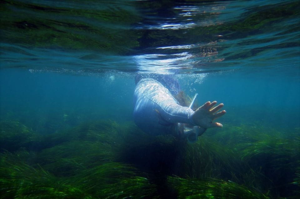 Ibiza: 3-Hour Cliff Kayaking Tour With Snorkeling - Swim and Snorkel at Beaches