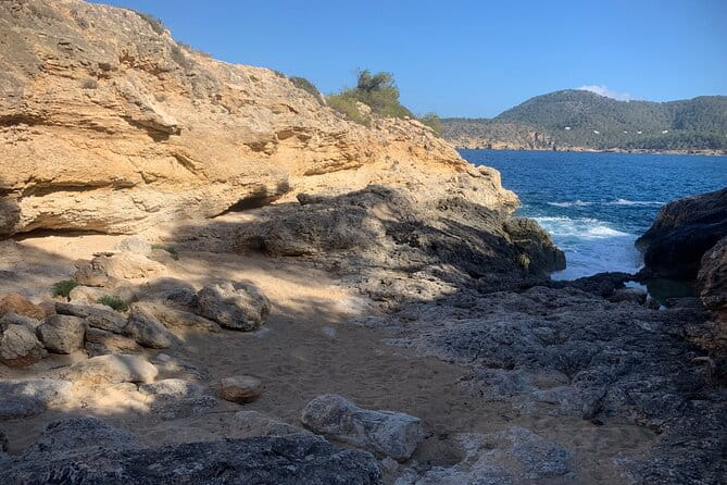 Ibiza "Alien Tour" - FAQ: Your Practical Questions Answered