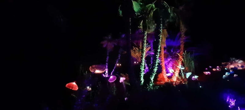 IBIZA: Astro Magic Lights at Bibo Park - Logistics and Practical Tips