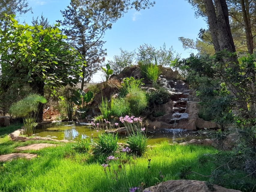 Ibiza: BIBO PARK Ibiza Botanical Biotechnological - Key Points