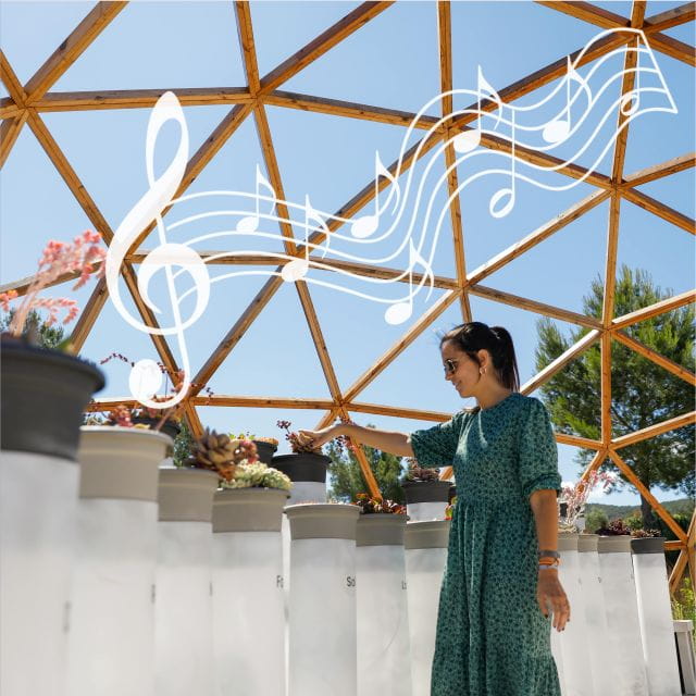 Ibiza: BIBO PARK Ibiza Botanical Biotechnological - Pricing and Reservations