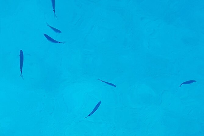 Ibiza Boat Trip to Formentera | Full-Day Experience - Drinks and Snacks