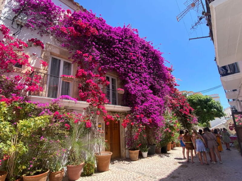 Ibiza: Dalt Vila Walking Tour with Sangría Workshop - Practical Details and What to Expect