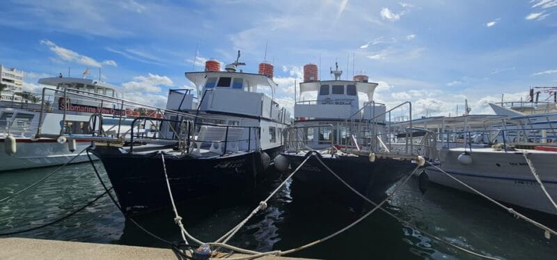 IBIZA excursión marítima Illetas con paella y bebidas - Who Will Love This Tour?