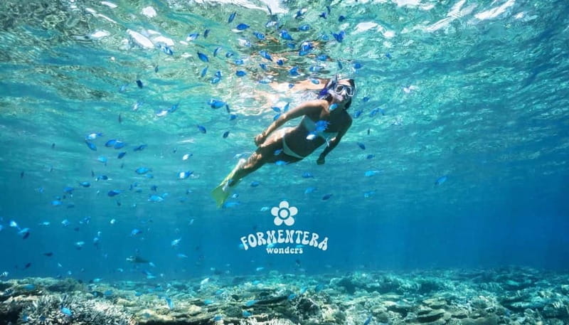 Ibiza: Formentera Cruise with Paella, OpenBar & Water Sports - The Complete Guide to a Day on the Water from Ibiza to Formentera