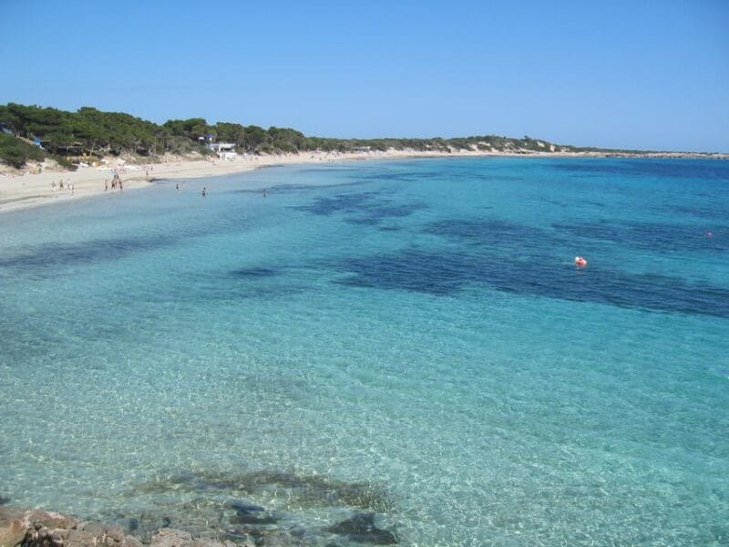 Ibiza: Full-Day Excursion and Visit to a Hippy Market - Price and logistics: is it worth it?