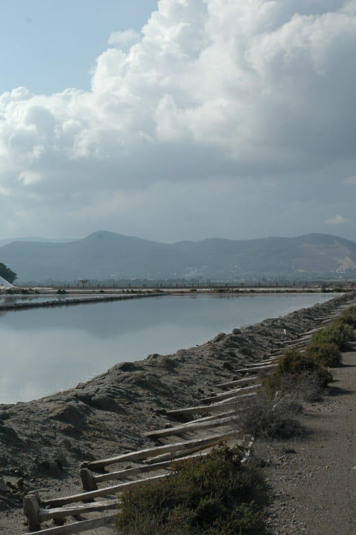 Ibiza: Full-Day Excursion and Visit to a Hippy Market - Frequently Asked Questions