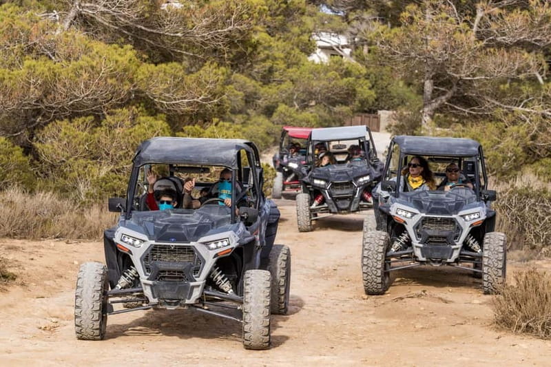 Ibiza: Guided Buggy Tour with Beach Stops - Who Should Consider This Tour