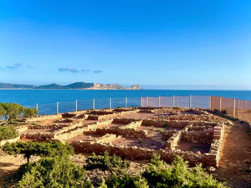 Ibiza: Half Day Island Tour with Iconic Photo Spots - Price and Logistics: What You Should Know