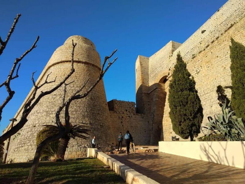 IBIZA HIGHLIGHTS TOUR: From Unesco heritage to best beaches - Logistics and Practicalities: Worth the Cost?