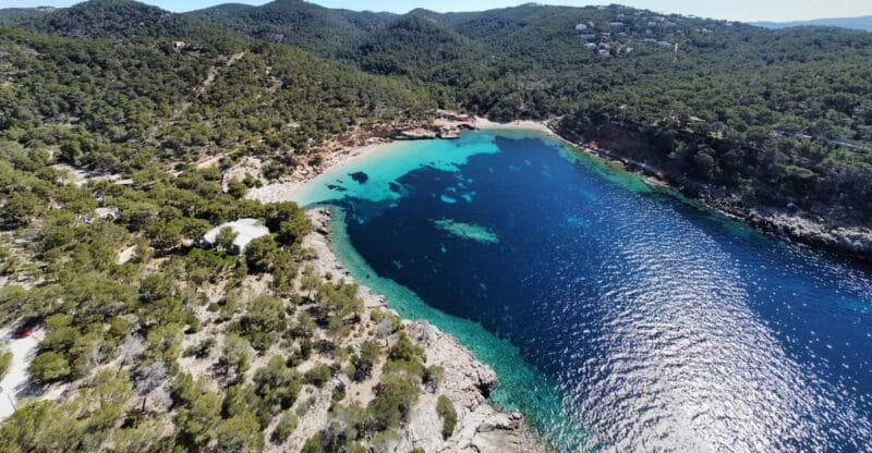 Ibiza North Coast: SpeedBoat to Portitxol + Snorkel & Paddle - Final Thoughts