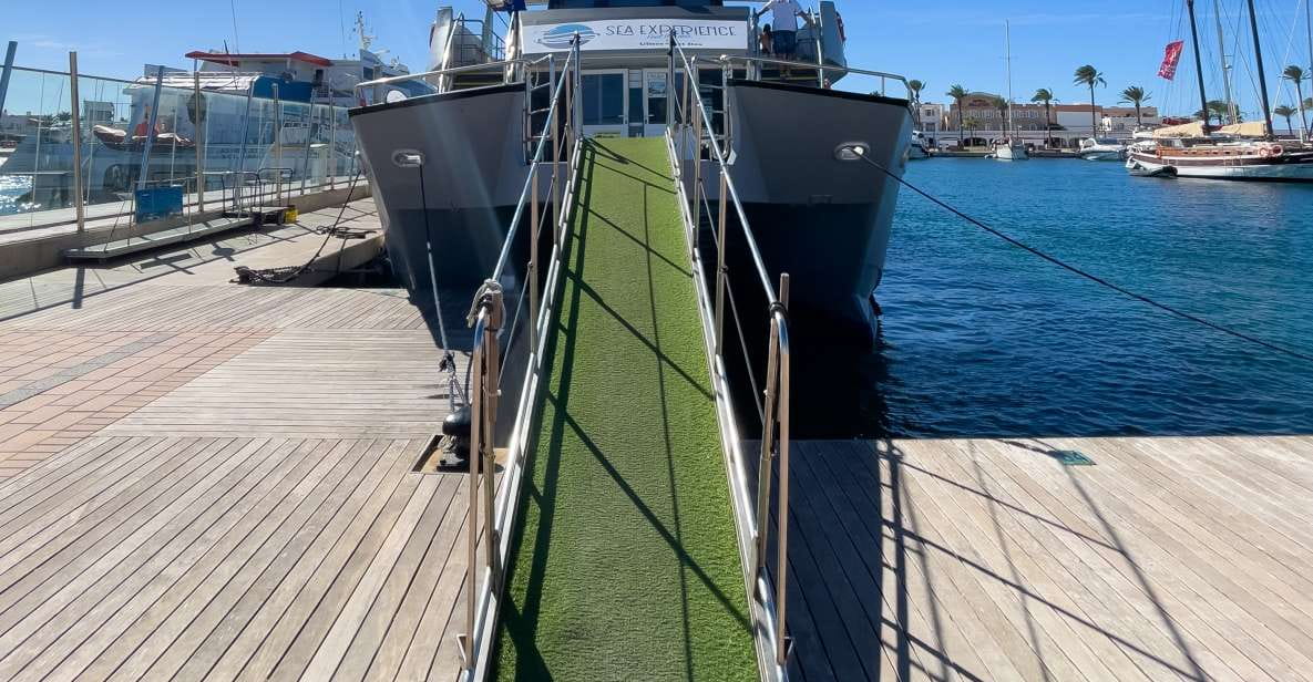 Ibiza: Platja Den Bossa Round-Trip Transfer to Formentera - Experience Highlights