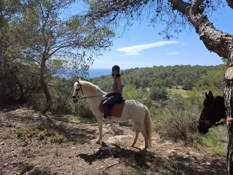 Ibiza: Private Horseback Riding Nature Experience +Transport - How the Itinerary Unfolds