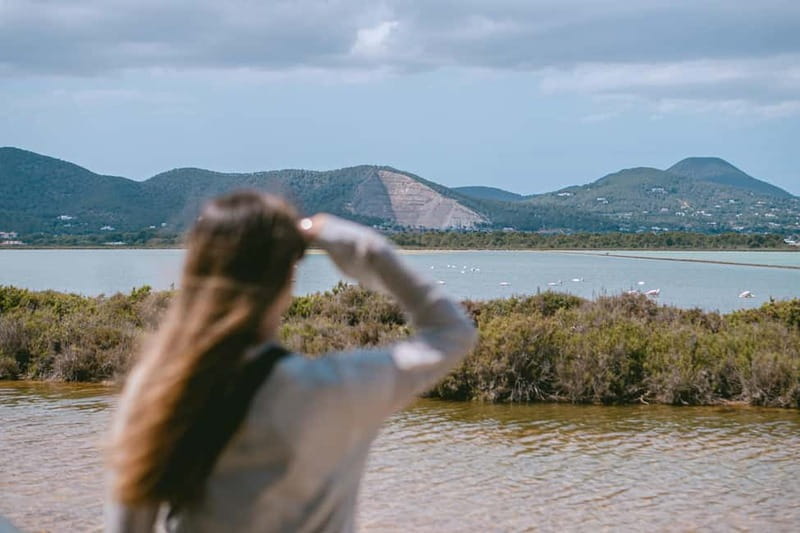 Ibiza: Salt Beds, Es Vedra & Time and Space Half-Day Tour - Price, Logistics, and Overall Value