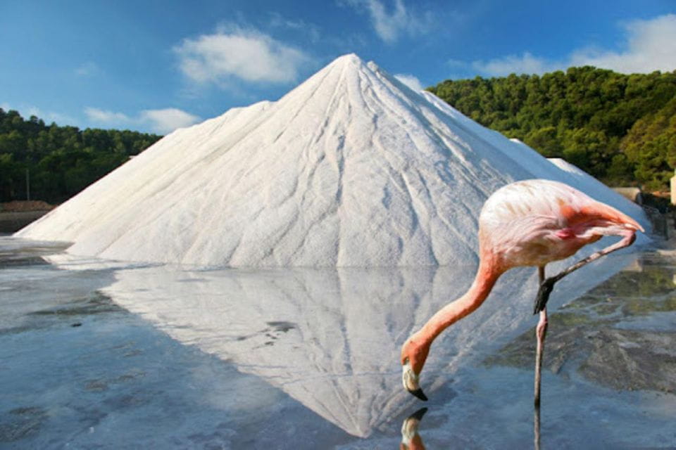 Ibiza: Ses Salinas Bike Excursion - Inclusions and Equipment