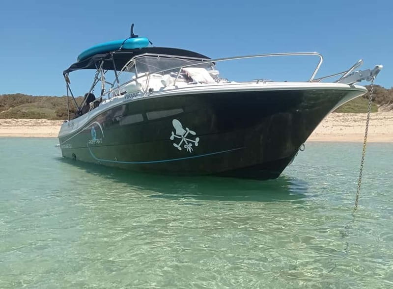 Ibiza: short "north of the island" tour from the sea in a private boat - Discovering the Hidden Corners and Landmarks