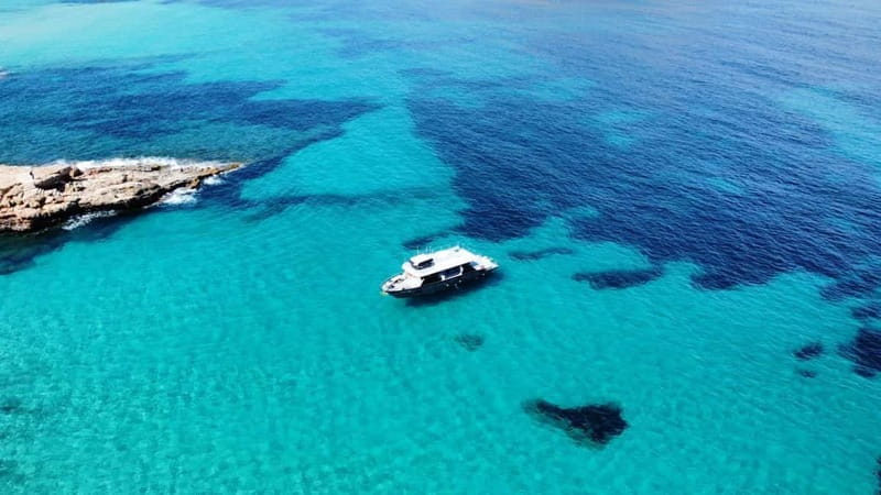 Ibiza: Sunset VIP Paella Cruise with drinks,Paddle Boarding - Price & Value Analysis