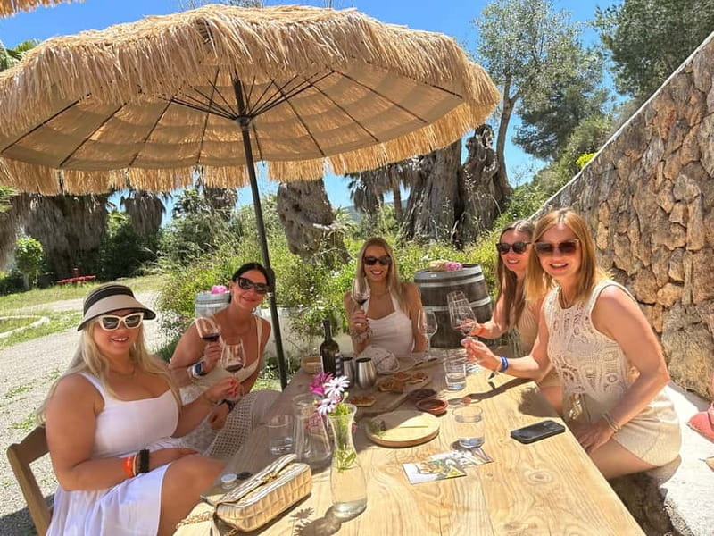 Ibiza Wine Tour: Wine Tasting + Tapas at Winery - Key Points / Takeaways