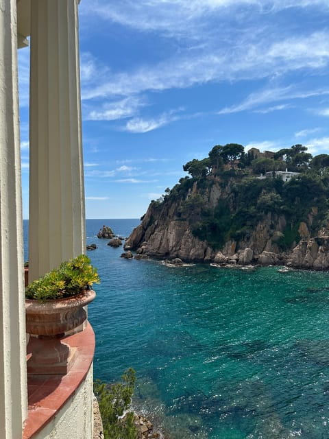 Ibiza Wine Tour: Wine Tasting + Tapas at Winery - Transport and Logistics: Hassle-Free Planning