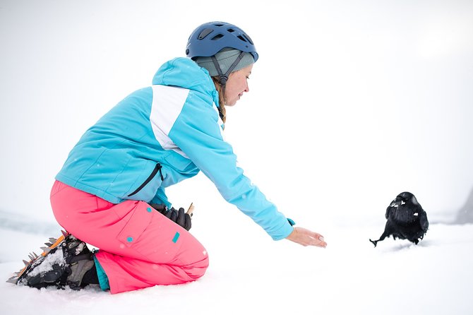 Ice Cave Captured - Professional Photos Included - Requirements