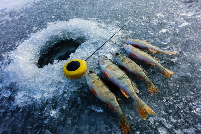 Ice Fishing and Husky - FAQ