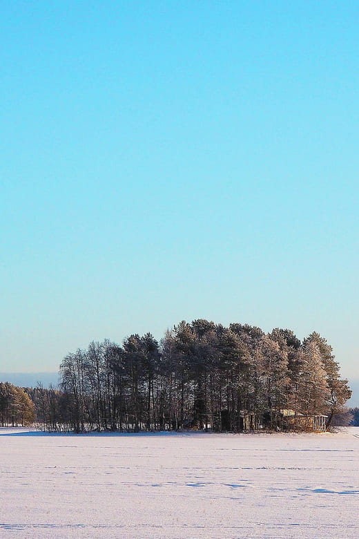 Ice fishing program in Lapland - Final Thoughts: Is It Worth It?