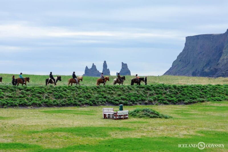 Iceland: South Coast and Glacier Hiking in Small Group - Frequently Asked Questions