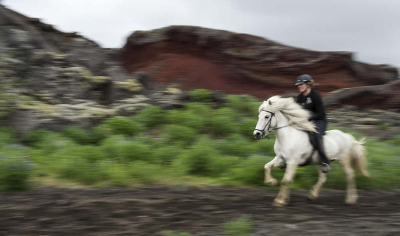 Iceland: Volcanic Landscape Horse Riding Tour - Key Points / Takeaways