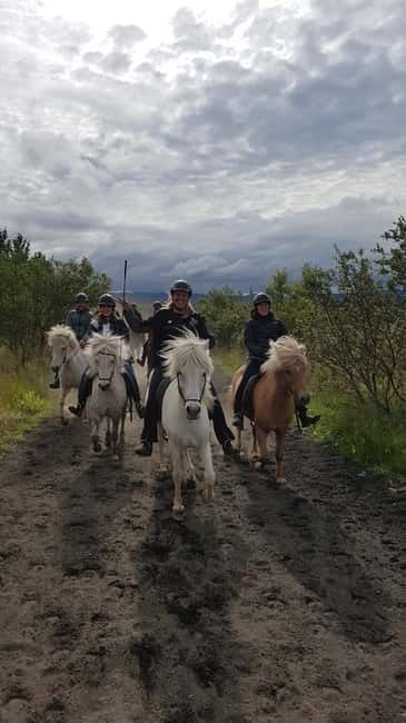 Iceland: Volcanic Landscape Horse Riding Tour - The Scenic Trail and Diverse Terrain