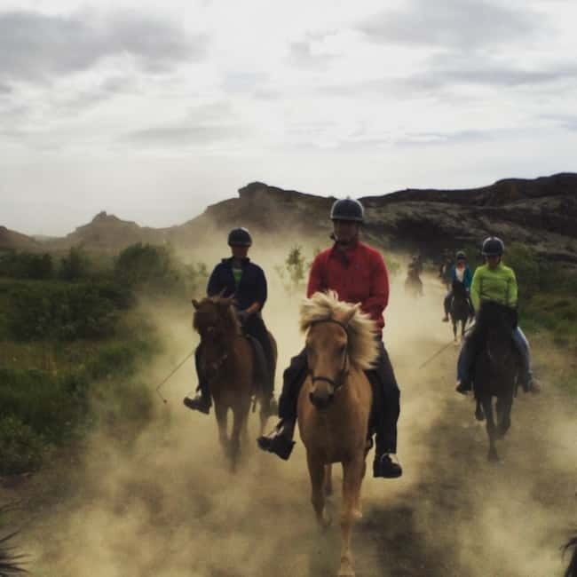 Iceland: Volcanic Landscape Horse Riding Tour - Who Will Love This Tour?