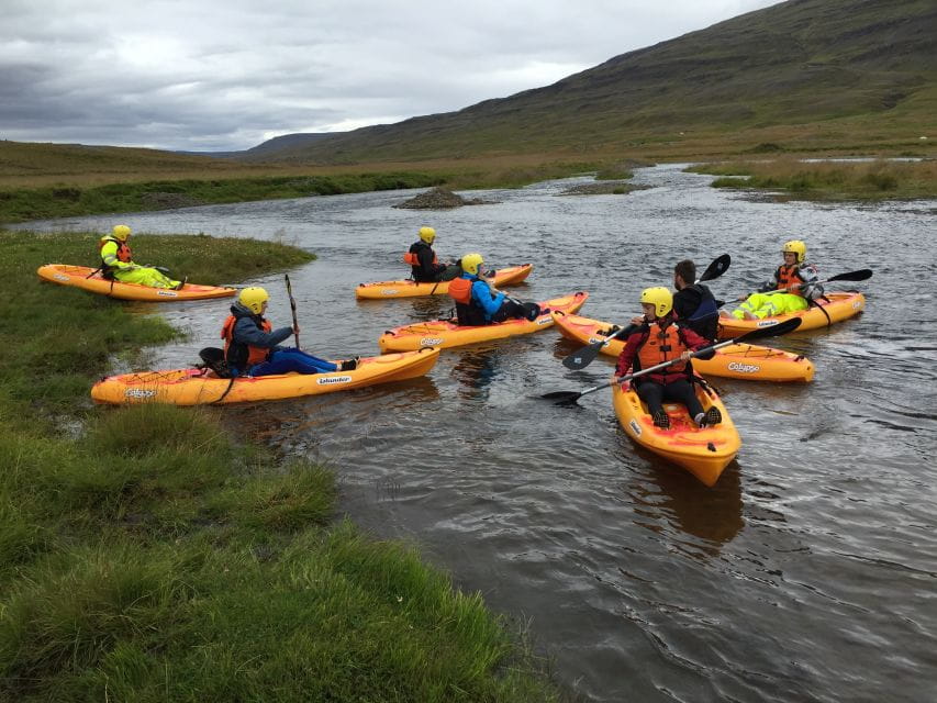 Icelandic Kayak Trip - Nature and Birdlife Highlights