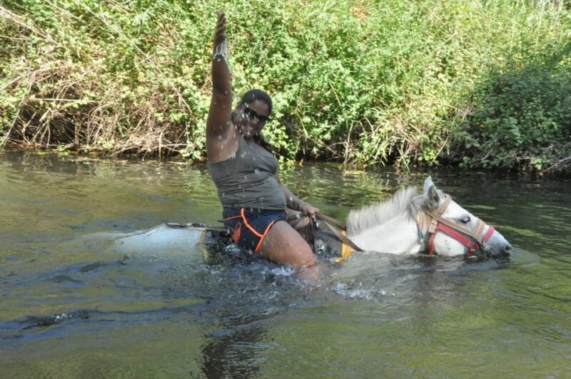 Icmeler Horse Riding Through The Rivers and Forest - Price, Logistics, and Value