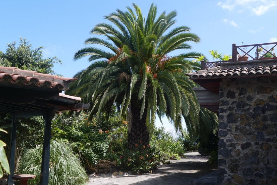 Icod De Los Vinos: Artlandya Doll World Entry Ticket & Tour - Logistics and Meeting Point