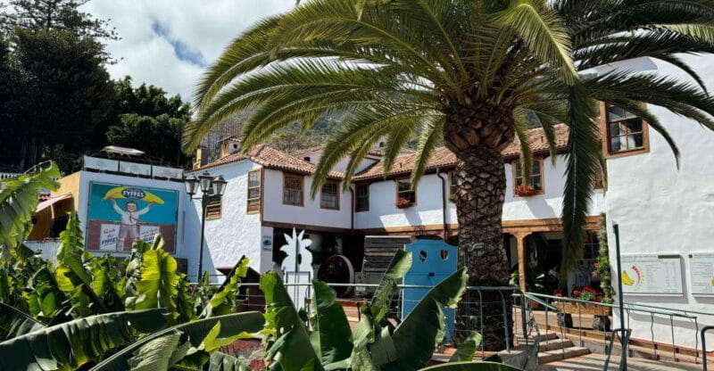 Icod de los Vinos: Casa del Plátano Entry Ticket - Exploring Tenerife’s Banana Heritage at Casa del Plátano