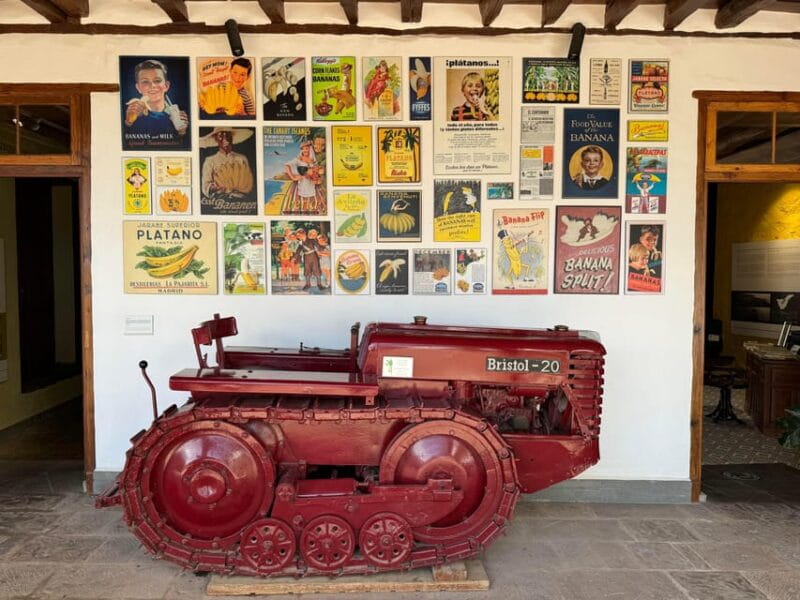 Icod de los Vinos: Casa del Plátano Entry Ticket - Key points / Takeaways