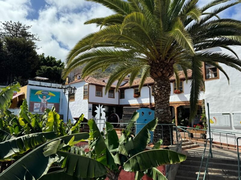 Icod de los Vinos: Casa del Plátano Entry Ticket - Practical Details and Tips for Visiting