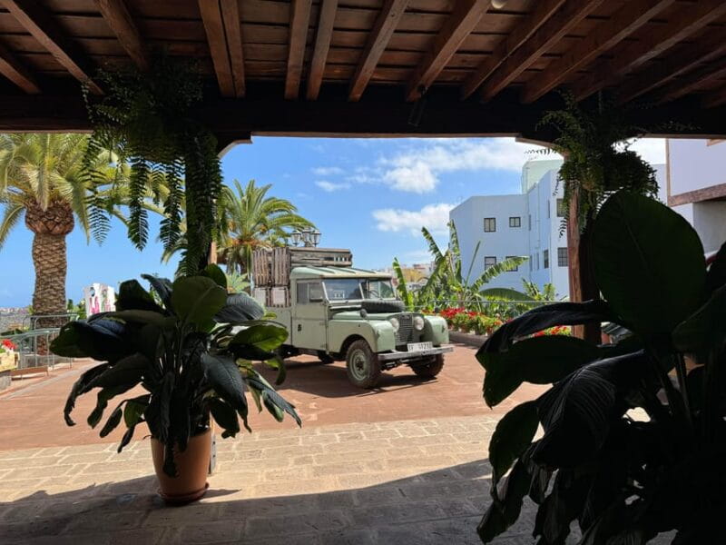 Icod de los Vinos: Casa del Plátano Entry Ticket - Who Will Love This Experience?