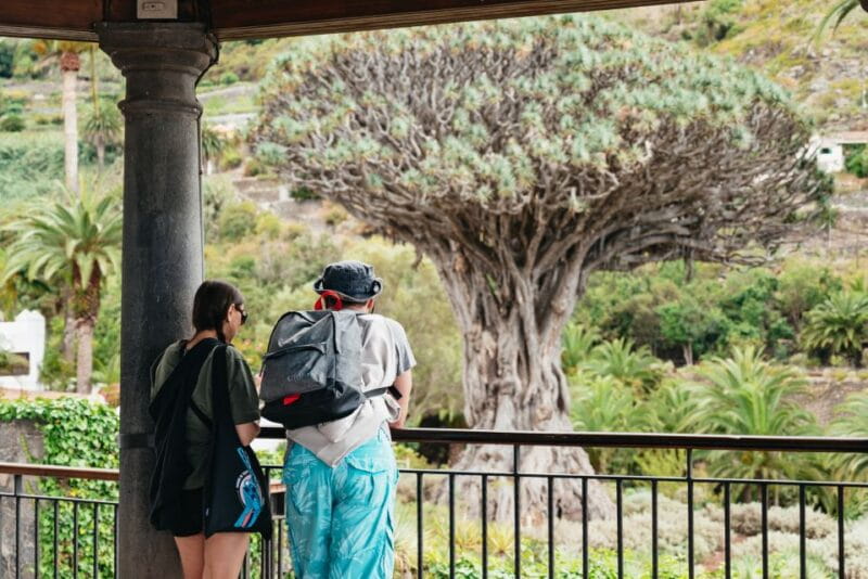 Icod de los Vinos: Dragon Tree & Botanical Garden Ticket - The Sum Up: A Unique Natural Encounter for Curious Travelers