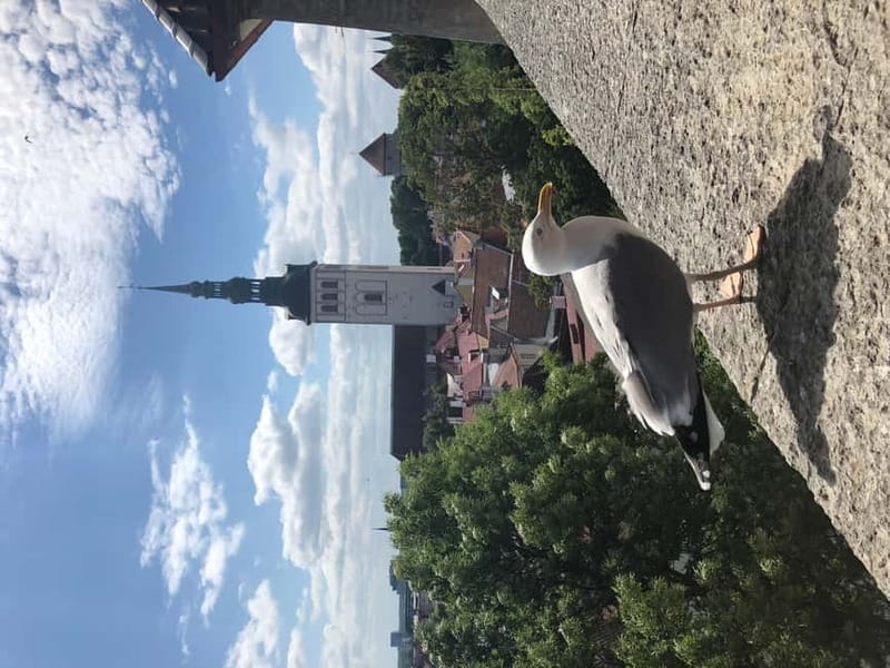 Iconic Old town Tallinn - Final Thoughts: Who Should Book This Tour?