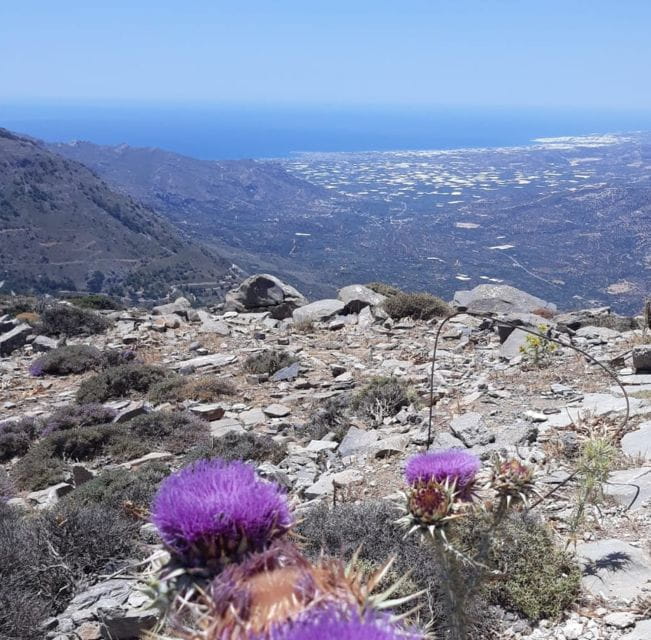 Ierapetra: Eastern Crete Nature Jeep Driving Tour - FAQ