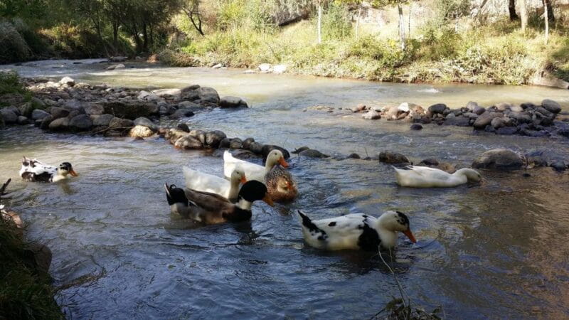 Ihlara Valley Full Day Hiking Tour with expert guide - Who Is This Tour Best For?