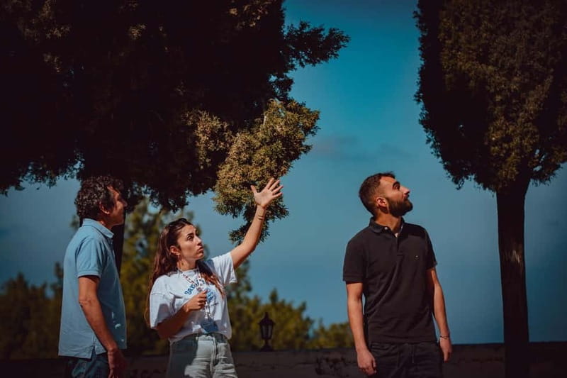 Ikaria, Alama Hiking trail, Surf Class & Lunch with Pick up - Key Points / Takeaways