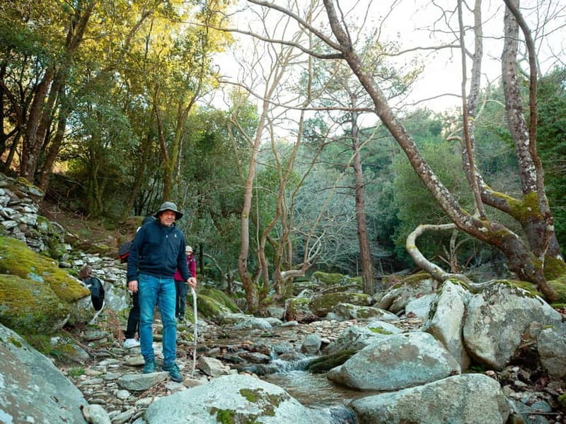 Ikaria, Hike Randi's Forest, Swim at Seychelles & Lunch - Frequently Asked Questions