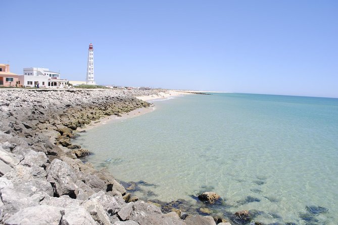 Ilha Deserta and Farol Island: a Small Group Boat Trip in Ria Formosa From Faro - Discovering Deserta Island